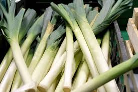 Giant Musselburgh Leek