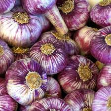 Thai purple garlic