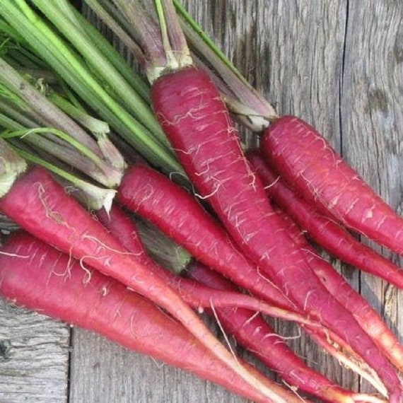 Farm Hand Seeds Atomic Red Carrots
