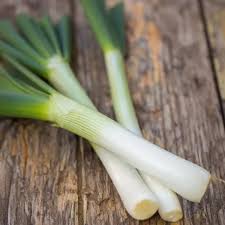 Carentan heirloom leek