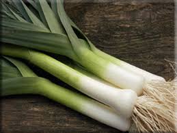 Giant Musselburgh Leek