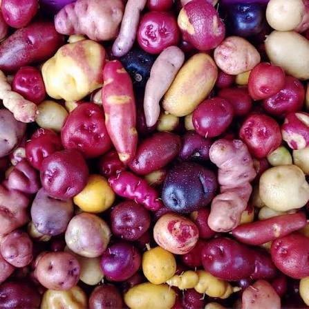 Rainbow mix