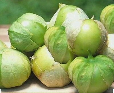 Toma Verde Tomatillo