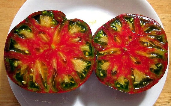 Berkeley Tie Die Tomato