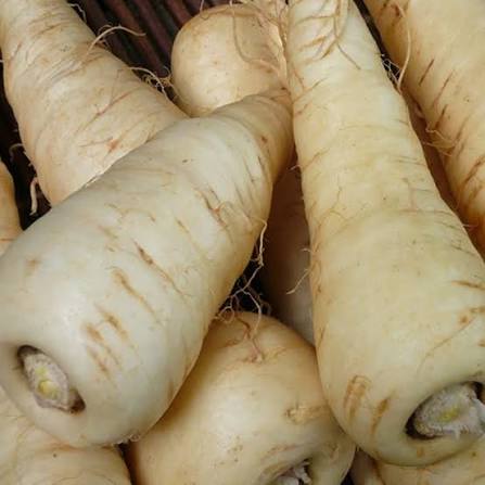 Harris Model Parsnip