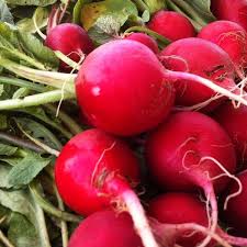 Crimson Red Radish