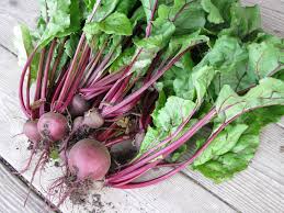 Detroit Dark Red beet