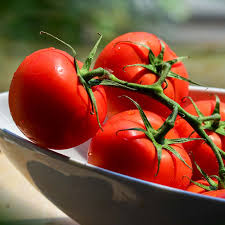 Floradade Heirloom Tomato
