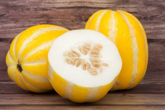 Early silver line melon