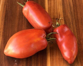 Farm Hand Seeds Polish paste tomato