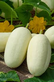Apple Cucumber