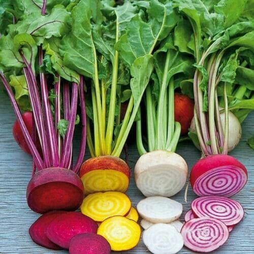 Turnip Assortment