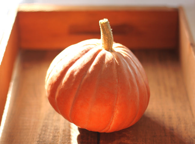 Gold Nugget Winter Squash