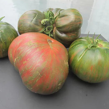 Berkeley Tie Die Tomato