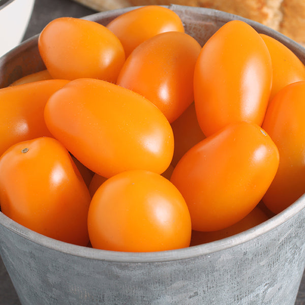 Orange roma tomato