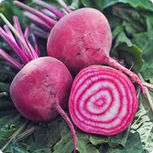 Heirloom Chioggia Beet
