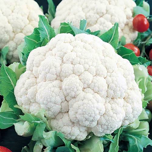 Snowball Improved Cauliflower