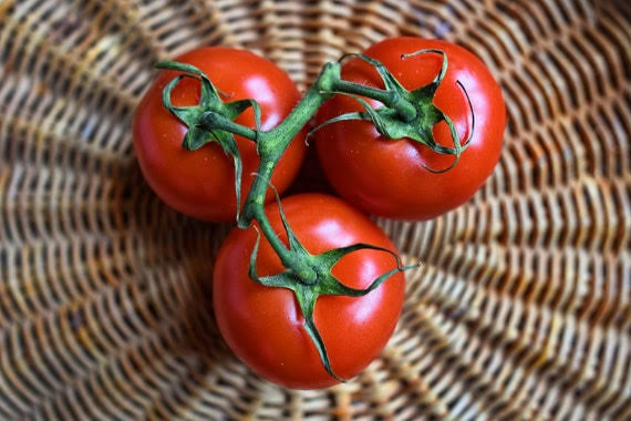 Floradade Heirloom Tomato