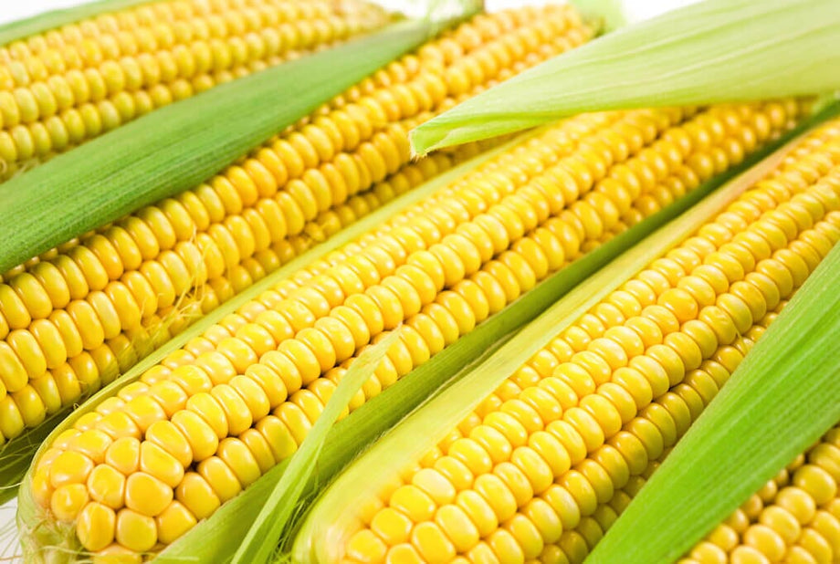 Jubilee sweet corn