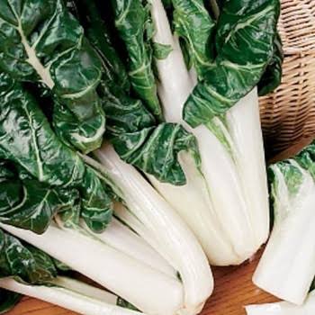 Fordhook Swiss Chard