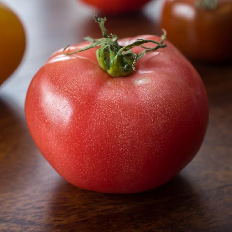 Eva purple ball tomato