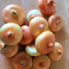 Borettana White Cipollini Onions