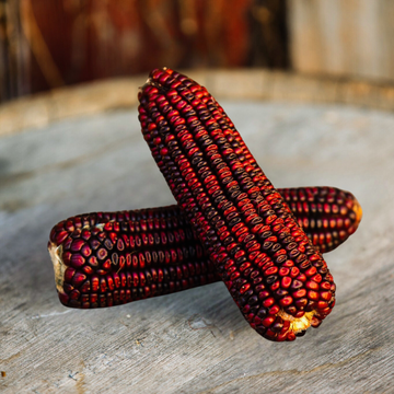 Jimmy Red Corn