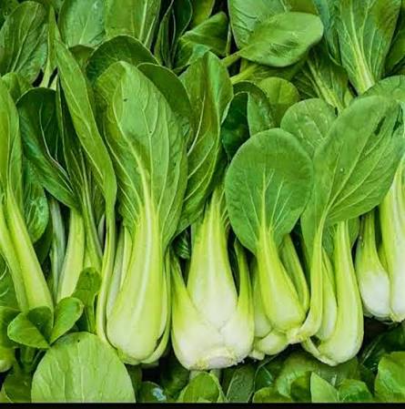 Baby Bok Choy