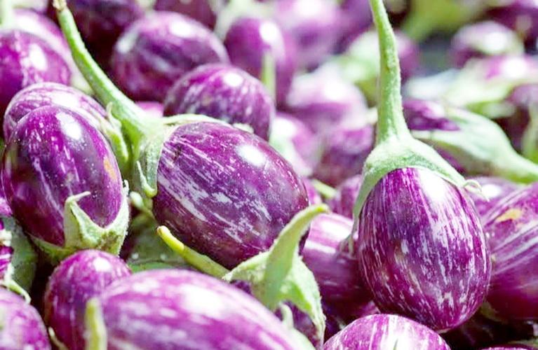 Farm Hand Seeds Thai Mini Purple Eggplant