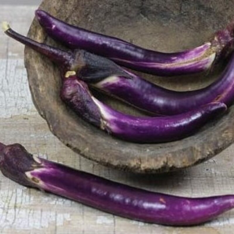 Farm Hand Seeds Japanese pickling eggplant