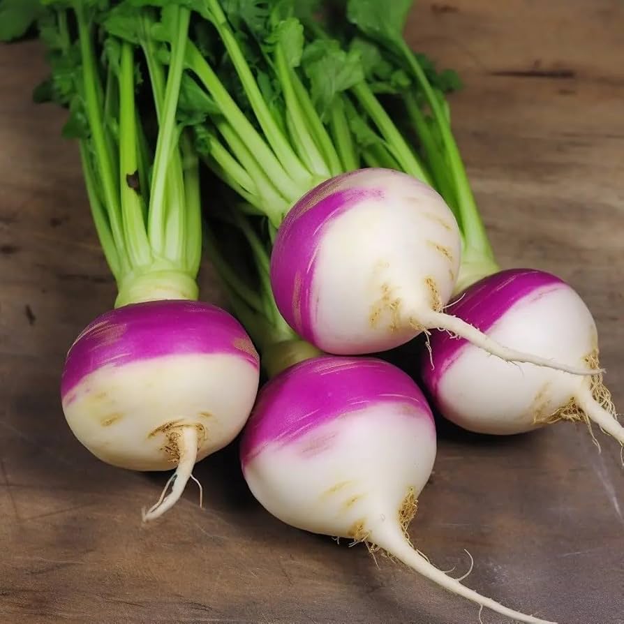 White Purple Top Turnip