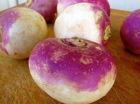 American Purple Top Rutabaga
