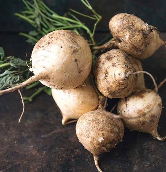 True Jicama