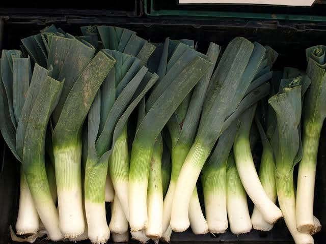American Flag Leeks