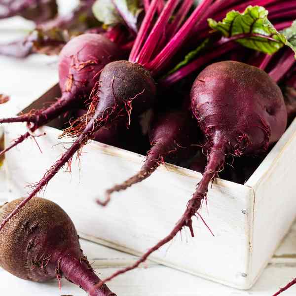 Boltardy beet