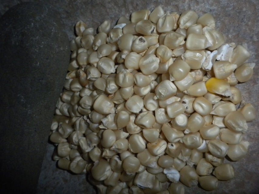 Boone county white corn