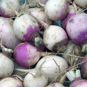 American Purple Top Rutabaga