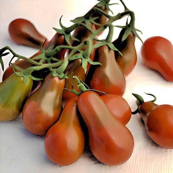 Chocolate pear tomato
