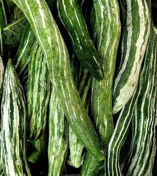 Snake gourd