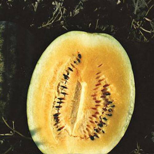 Farm.hand.seeds Yellow Crimson Sweet Watermelon