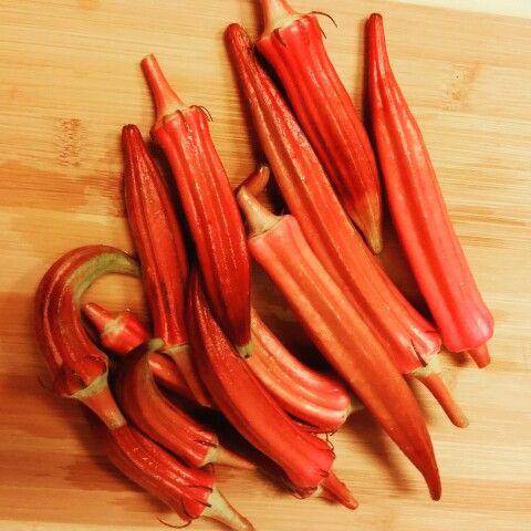 Farm.hand.seeds Jing Orange Okra