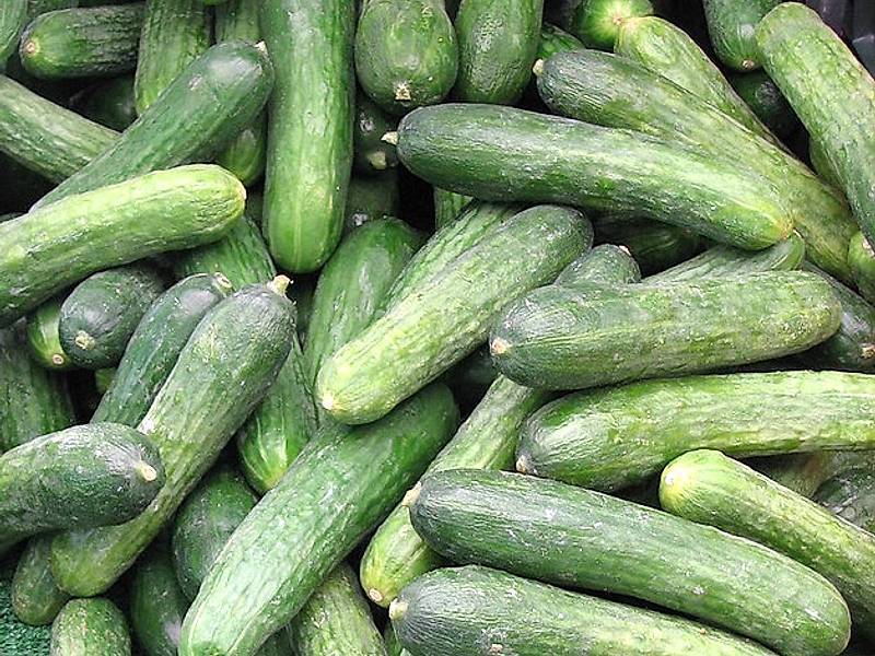 Farm.hand.seeds Rhinish Pickle Cucumber