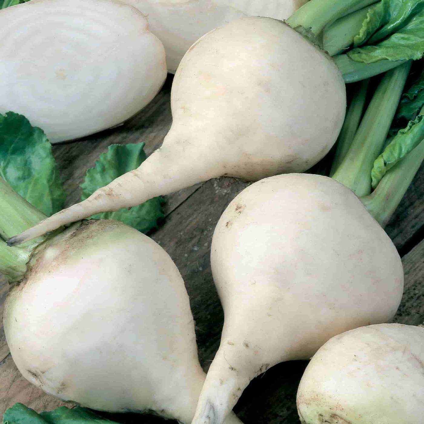 farm hand seeds White Albino Heirloom Beets