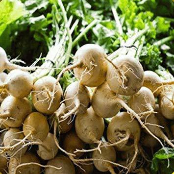 farm hand seeds White Albino Heirloom Beets