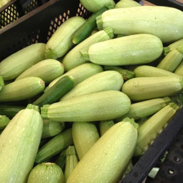 Farm.hand.seeds Lebanese white bush summer squash