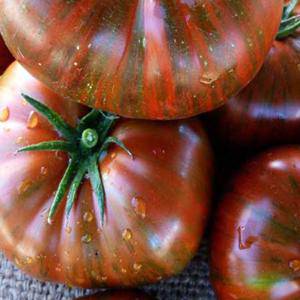 farm hand seeds Chocolate Stripes Medium Size Tomato