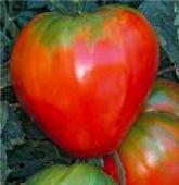 farm hand seeds German Strawberry Tomato