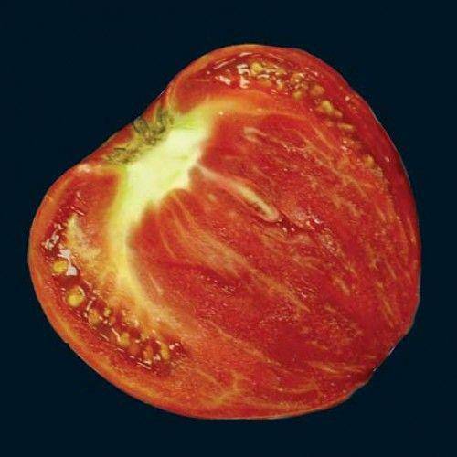farm hand seeds German Strawberry Tomato