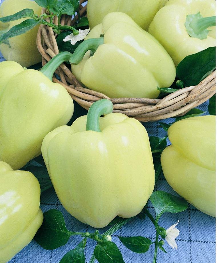 Farm.hand.seeds Diamond Bell Pepper