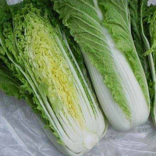 farm hand seedsMichihili Chinese Cabbage